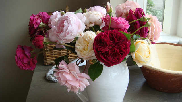 flowers-garden-05-david-austin-roses-vase