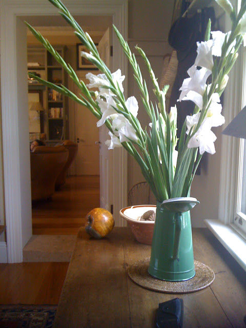 flowers-garden-14-white-gladiola