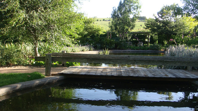 garden-pond-12